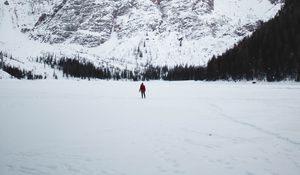 Превью обои горы, снег, пейзаж, деревья, турист