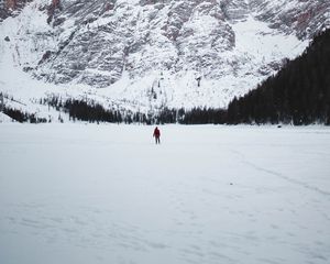 Превью обои горы, снег, пейзаж, деревья, турист