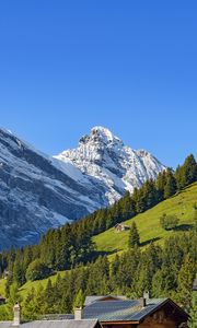 Превью обои горы, снег, склон, деревья, дом, природа