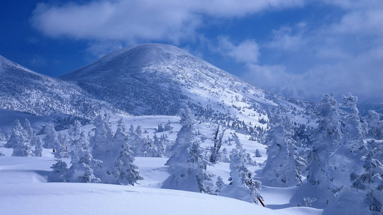 Обои горы, снег, сугробы, деревья, покров, белый, пелена