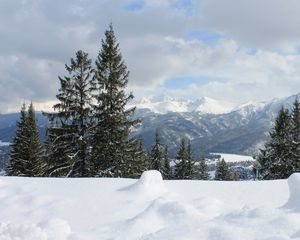 Превью обои горы, снег, татры, карпаты