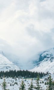 Превью обои горы, снег, вершины, деревья, туман