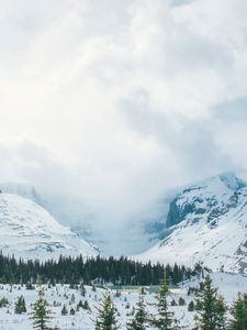 Превью обои горы, снег, вершины, деревья, туман