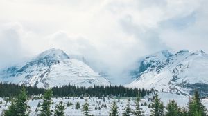 Превью обои горы, снег, вершины, деревья, туман