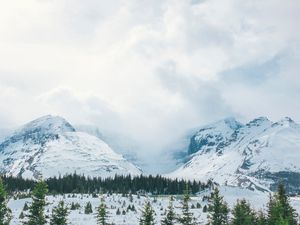 Превью обои горы, снег, вершины, деревья, туман