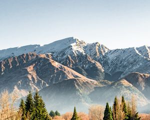 Превью обои горы, снег, вершины, деревья, ель