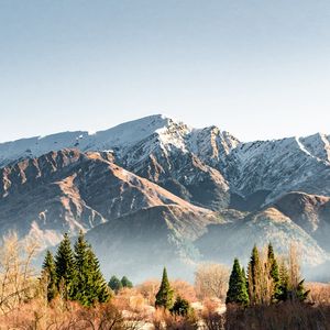 Превью обои горы, снег, вершины, деревья, ель