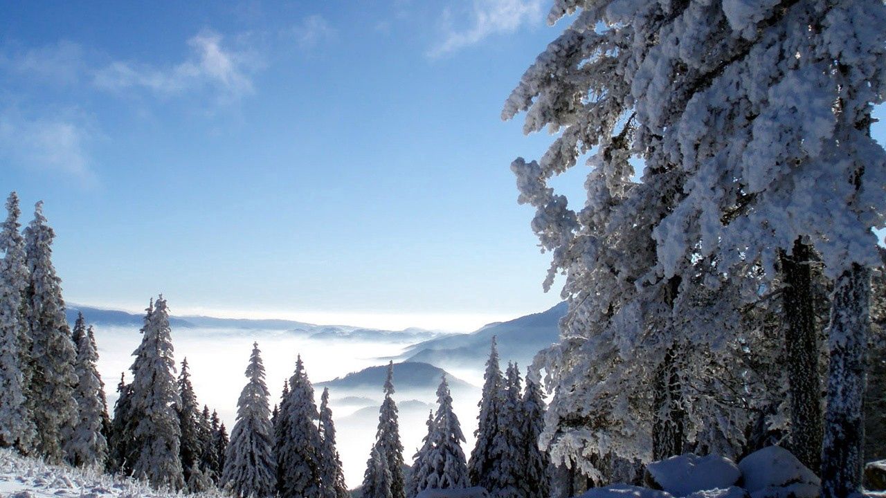 Обои горы, снег, высота, туман, деревья