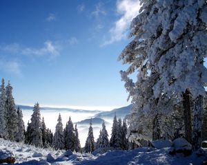 Превью обои горы, снег, высота, туман, деревья