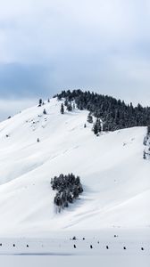 Превью обои горы, снег, зима, деревья, вершина