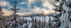 Превью обои горы, снег, зима, ели, ветки, небо