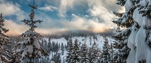 Превью обои горы, снег, зима, ели, ветки, небо