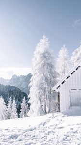 Превью обои горы, снег, зима, строение, деревья, снежный