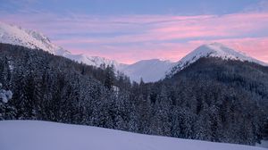Превью обои горы, снег, зима, заснеженный, деревья, горный пейзаж, швейцария