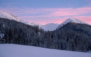Превью обои горы, снег, зима, заснеженный, деревья, горный пейзаж, швейцария