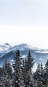 Превью обои горы, снег, зима, вершины, заснеженный, швейцария