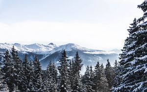 Превью обои горы, снег, зима, вершины, заснеженный, швейцария