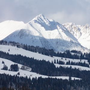 Превью обои горы, снег, зима, деревья, склон, природа