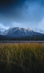Превью обои горы, снежный, трава, дорога