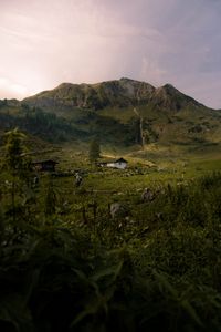 Превью обои горы, трава, дом, холм