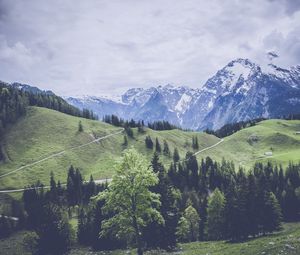 Превью обои горы, трава, леса, луг, пастбище