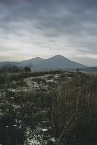 Превью обои горы, трава, тропинка, даль