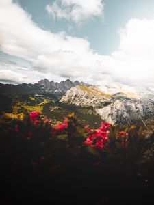 Превью обои горы, цветы, облака, вершины, высота