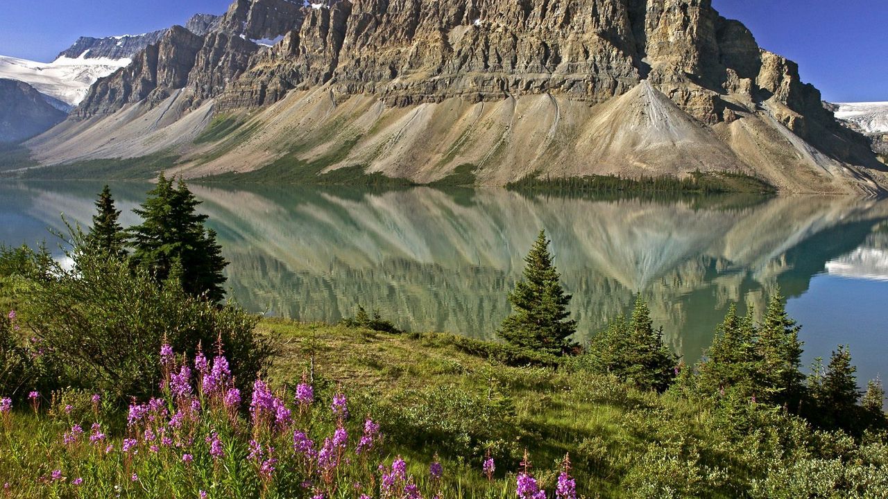 Обои горы, цветы, озеро, канада, отражение, зеркало