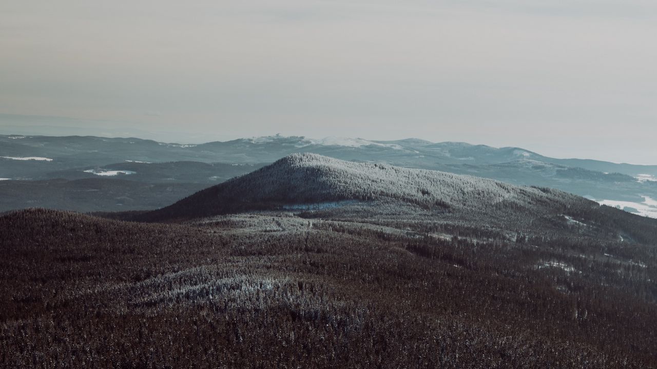 Обои горы, туман, деревья, заснеженный, небо