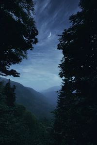 Превью обои горы, туман, деревья, луна, пейзаж, сумерки