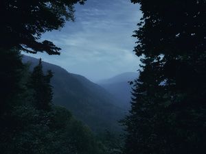 Превью обои горы, туман, деревья, луна, пейзаж, сумерки