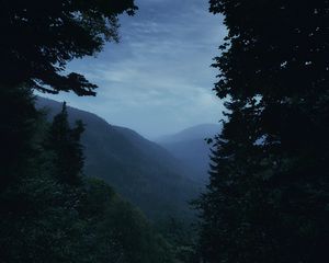 Превью обои горы, туман, деревья, луна, пейзаж, сумерки