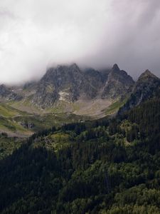Превью обои горы, туман, деревья, пейзаж