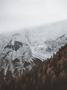 Превью обои горы, туман, лес, снег, снежный