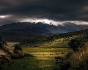 Превью обои горы, туман, облака, вершина, трава, пейзаж