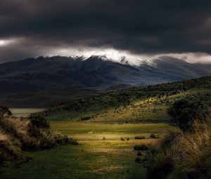 Превью обои горы, туман, облака, вершина, трава, пейзаж