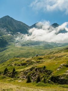 Превью обои горы, туман, трава