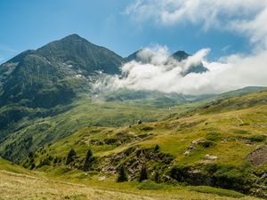 Превью обои горы, туман, трава