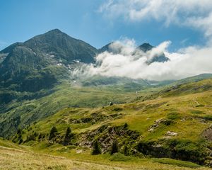 Превью обои горы, туман, трава