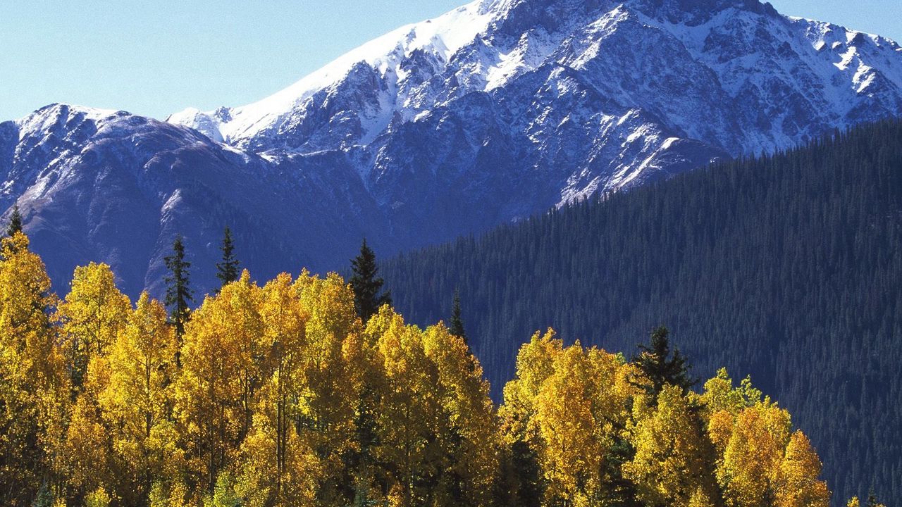 Обои горы, вершина, деревья, осень, желтые