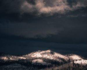 Превью обои горы, вершина, лес, деревья, снег, заснеженный