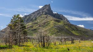 Превью обои горы, вершина, трава, деревья, склон