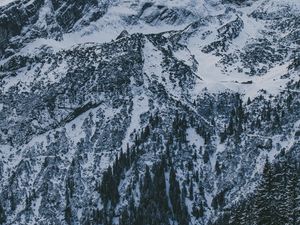 Превью обои горы, вершина, заснеженный, снег, небо, облака, деревья