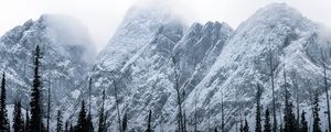 Превью обои горы, вершины, деревья, облака, пейзаж