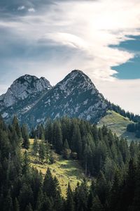 Превью обои горы, вершины, деревья, ель, небо