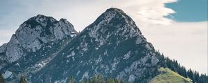 Превью обои горы, вершины, деревья, ель, небо
