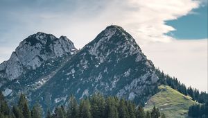 Превью обои горы, вершины, деревья, ель, небо