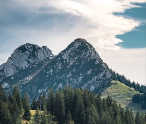 Превью обои горы, вершины, деревья, ель, небо