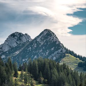 Превью обои горы, вершины, деревья, ель, небо