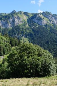 Превью обои горы, вершины, деревья, пейзаж